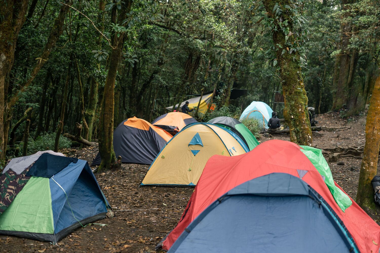 WildTrek camping adventure